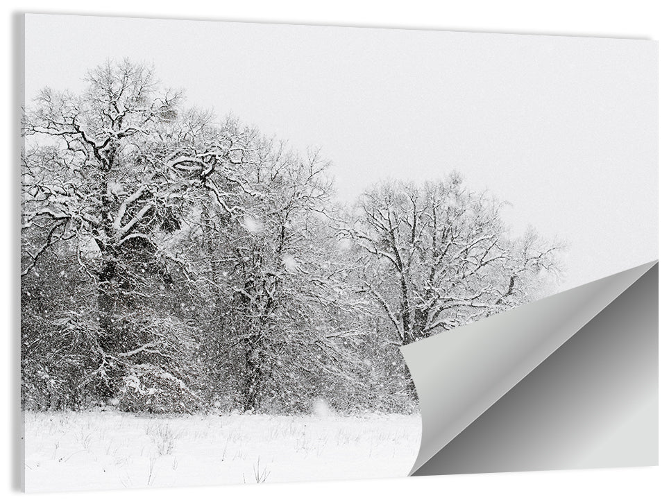 Snow-covered Trees in Fog Wall Art