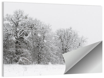 Snow-covered Trees in Fog Wall Art