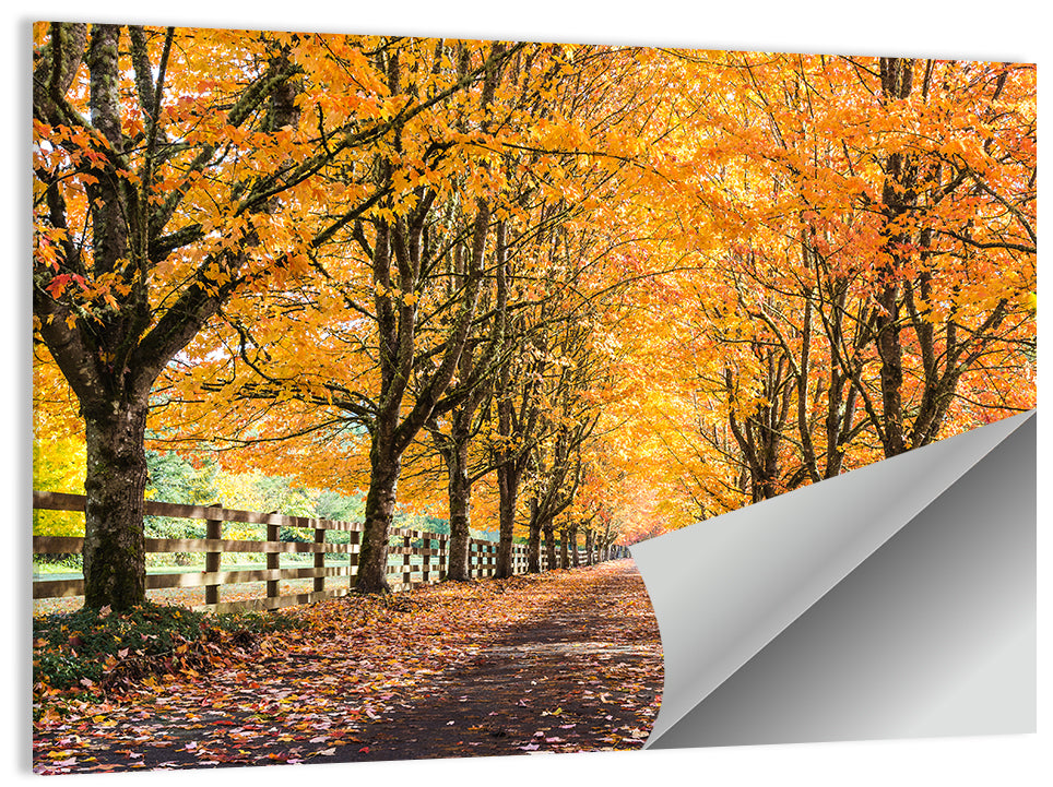 Maple Lane in Autumn Wall Art