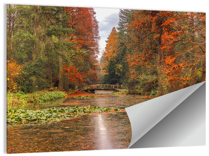 Simeria Arboretum Autumn Lake Wall Art