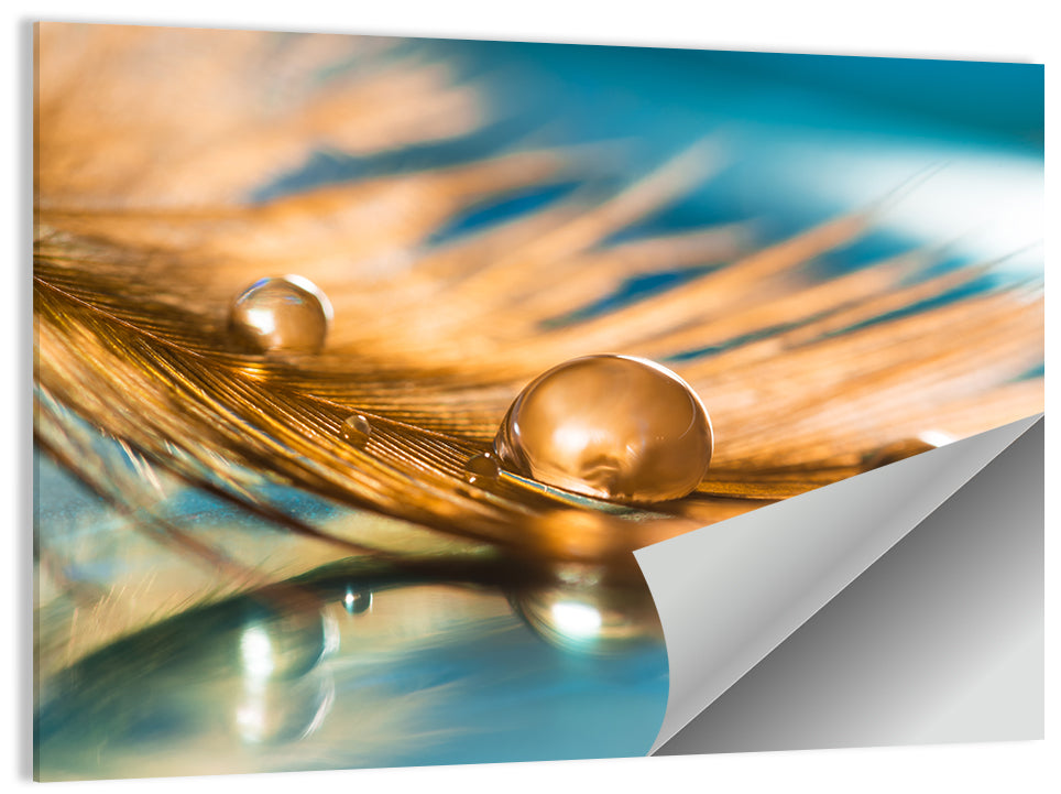 Golden Feather with Droplets Wall Art
