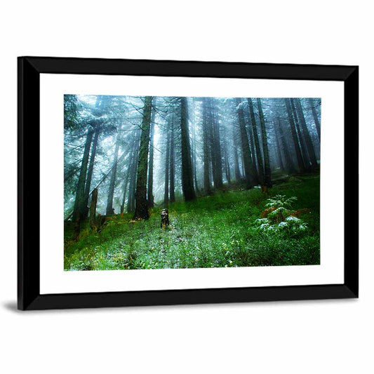Misty Green Pine Forest Wall Art