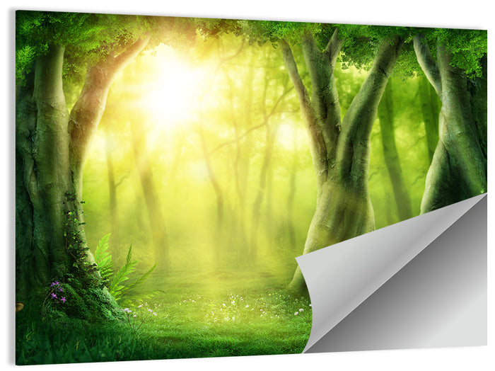 Enchanted Forest at Sunrise Wall Art as a poster print