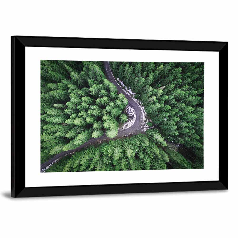 Aerial Forest Road Wall Art