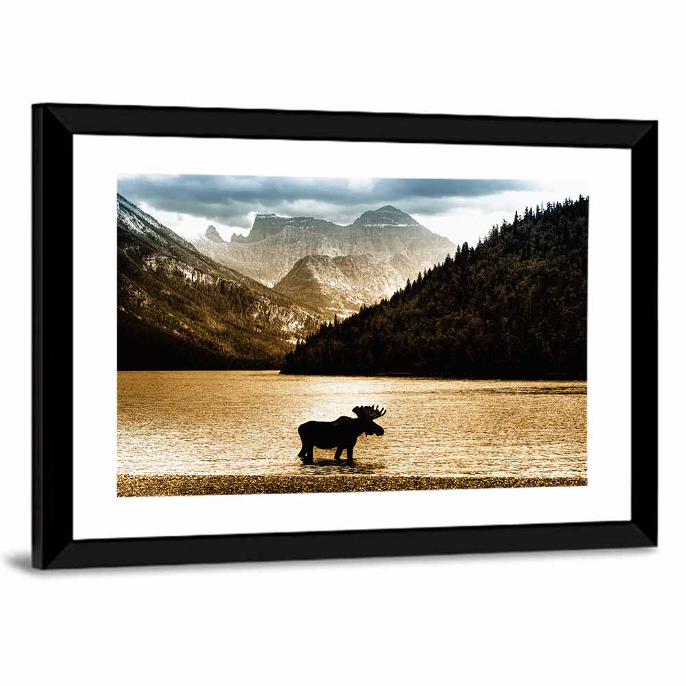 Moose at Waterton Lake Wall Art