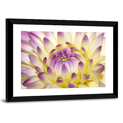 Dahlia Macro Portrait Wall Art