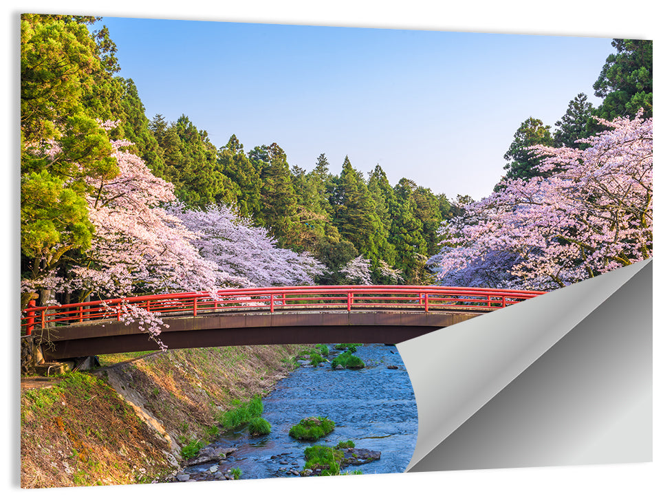 Arched Red Bridge with Cherry Blossoms Wall Art