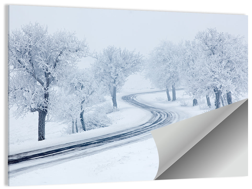 Misty Winter S-curve Road Wall Art
