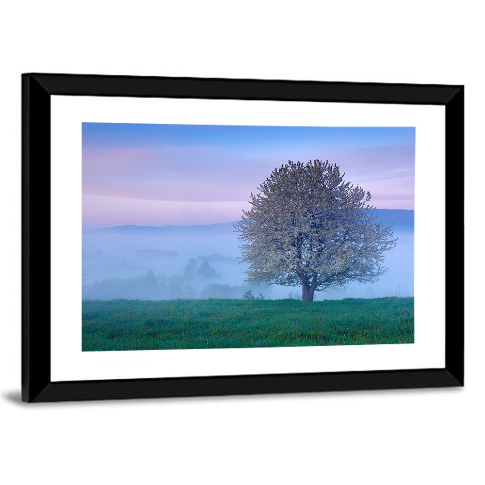 Misty Sumava Mountain Tree Wall Art