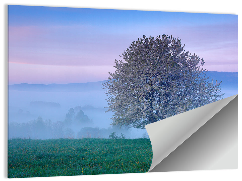 Misty Sumava Mountain Tree Wall Art