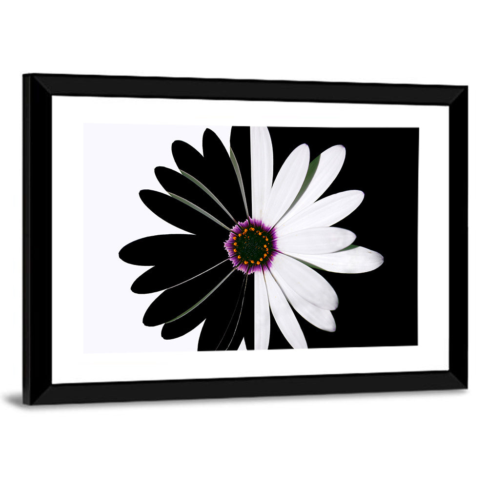 Black and White Daisy with Purple Ring Wall Art