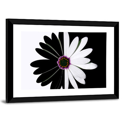 Black and White Daisy with Purple Ring Wall Art