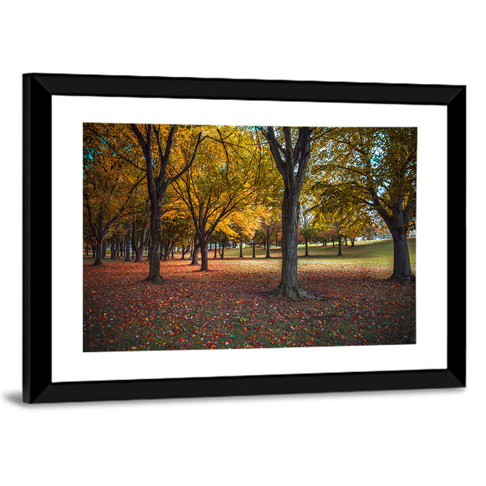 Autumn Park Trees, Pennsylvania Wall Art as a framed print