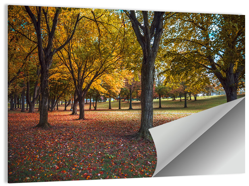Autumn Park Trees, Pennsylvania Wall Art