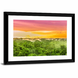 Amazon Rain Forest Brazil Wall Art