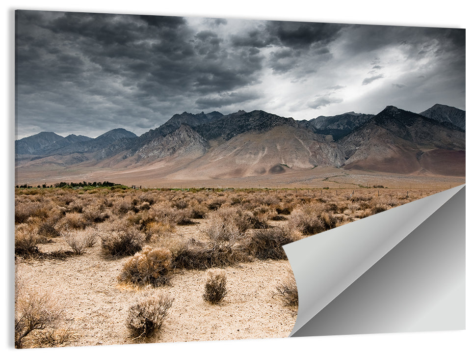 Storm Over Death Valley Wall Art