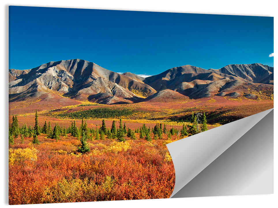 Denali Autumn Peaks Wall Art