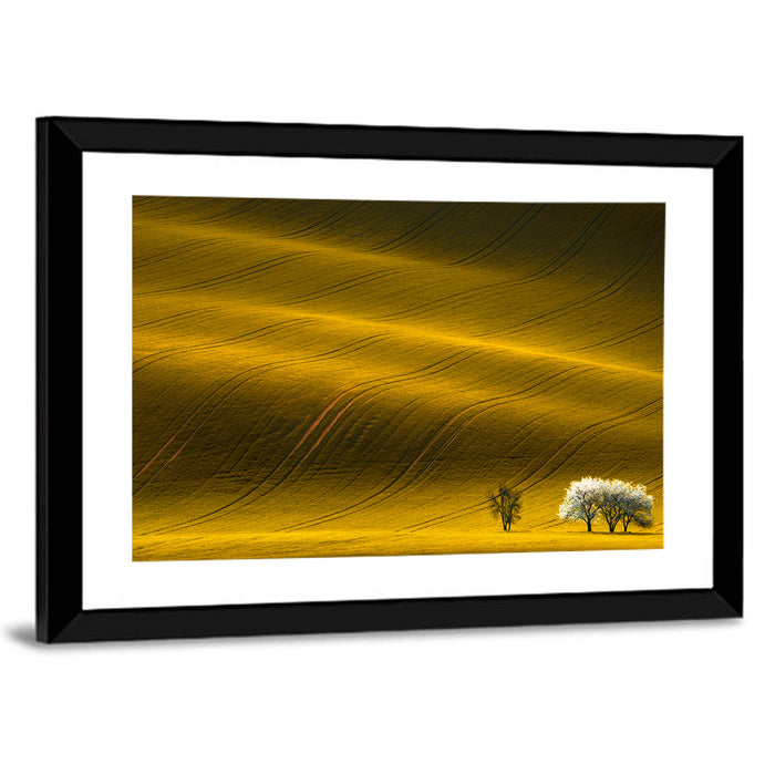 Golden Hour Rapeseed Field Wall Art as a framed print