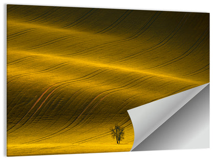 Golden Hour Rapeseed Field Wall Art
