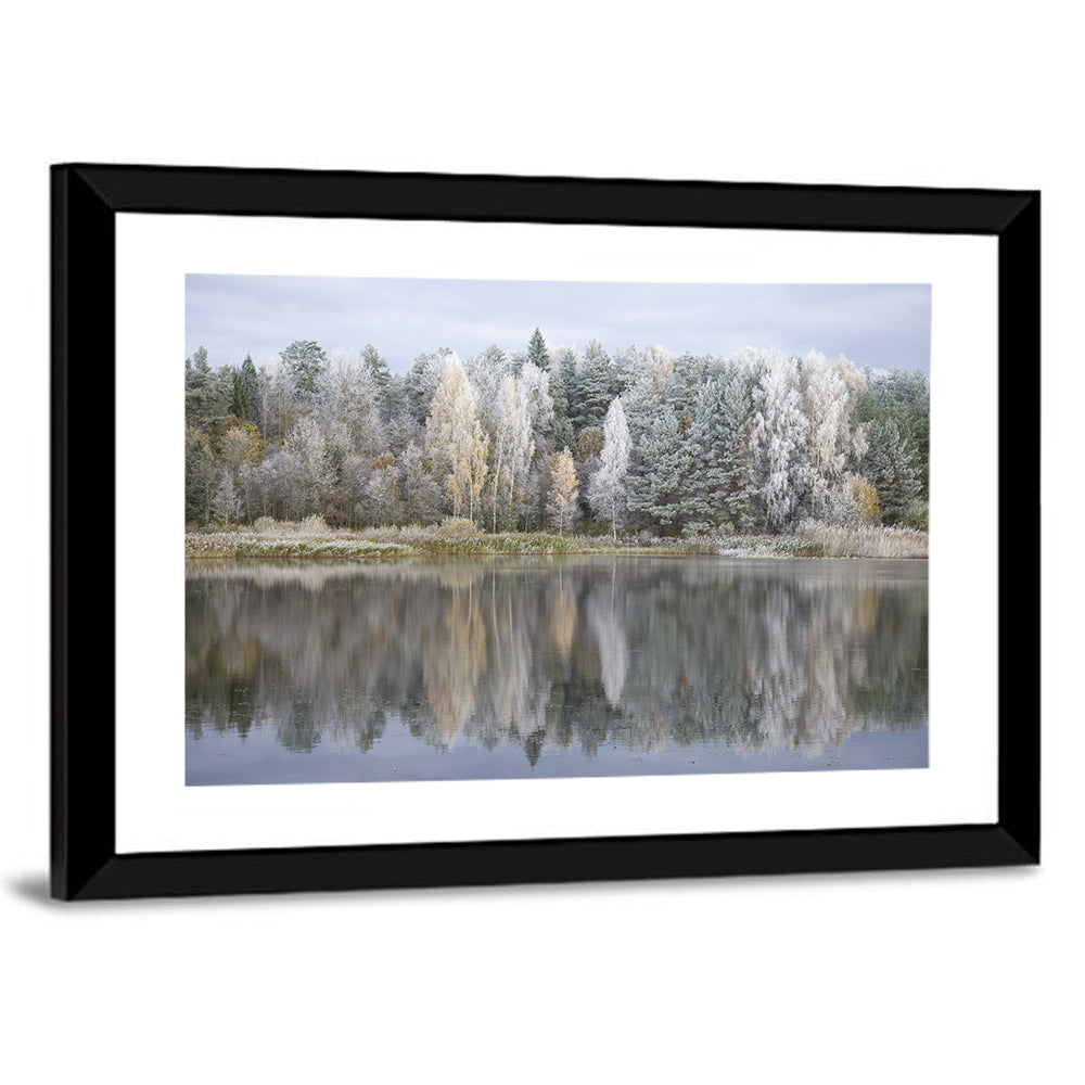 Pskov Region Forest Lake Wall Art