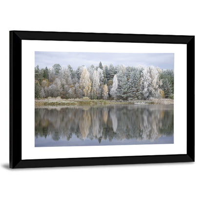 Pskov Region Forest Lake Wall Art