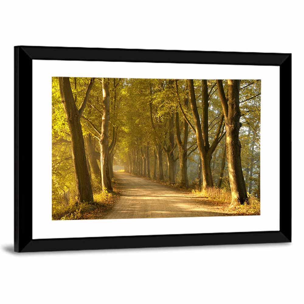 Autumn Road Through Golden Forest Wall Art