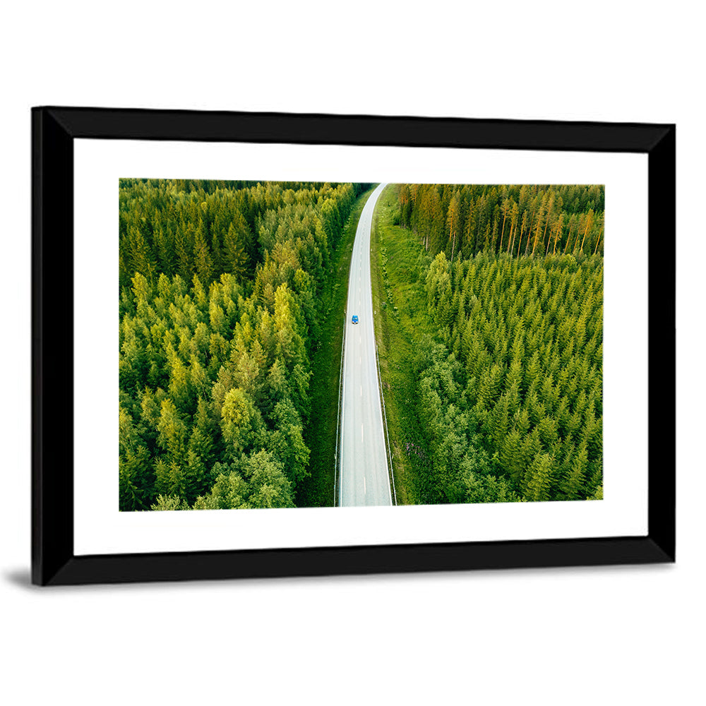 Blue Car on Forest Road Wall Art