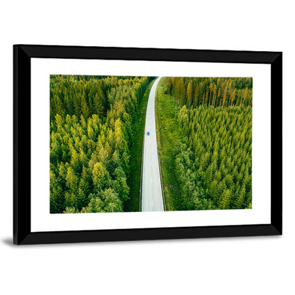 Blue Car on Forest Road Wall Art
