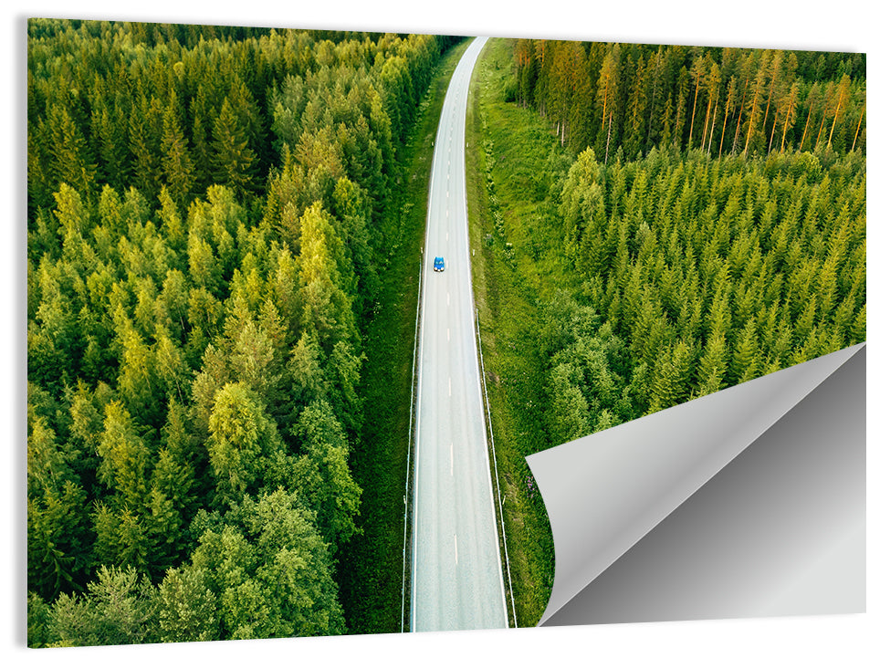 Blue Car on Forest Road Wall Art