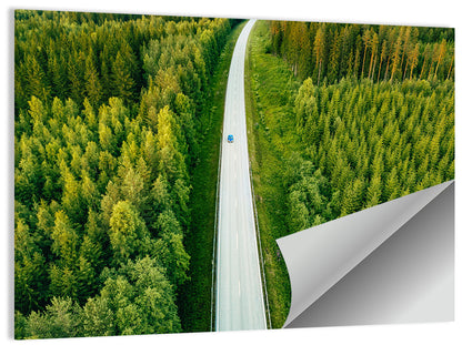 Blue Car on Forest Road Wall Art