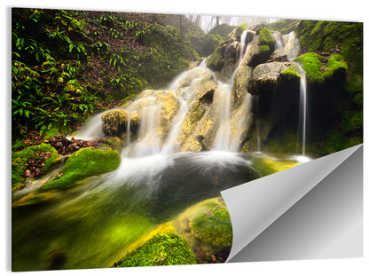 Cheile Nerei Mossy Waterfall Wall Art