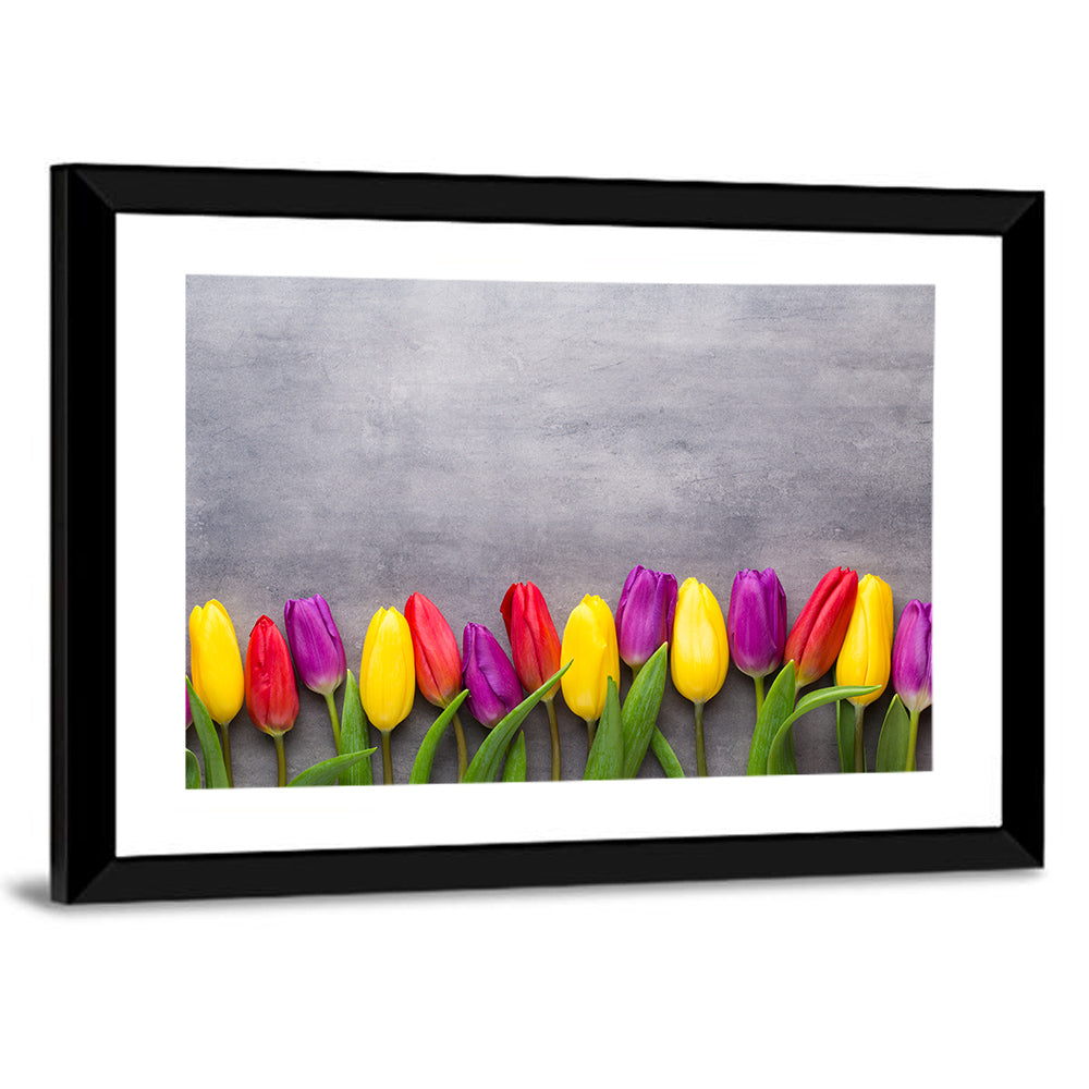 Row of Multicolored Tulips Wall Art