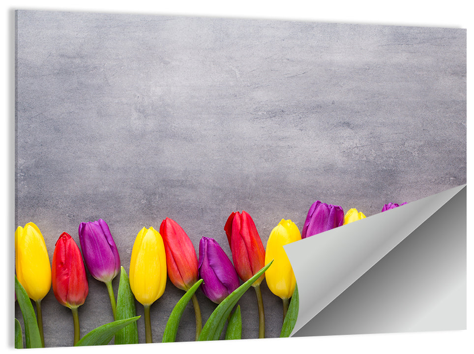 Row of Multicolored Tulips Wall Art