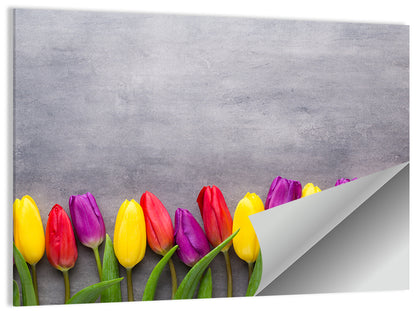 Row of Multicolored Tulips Wall Art