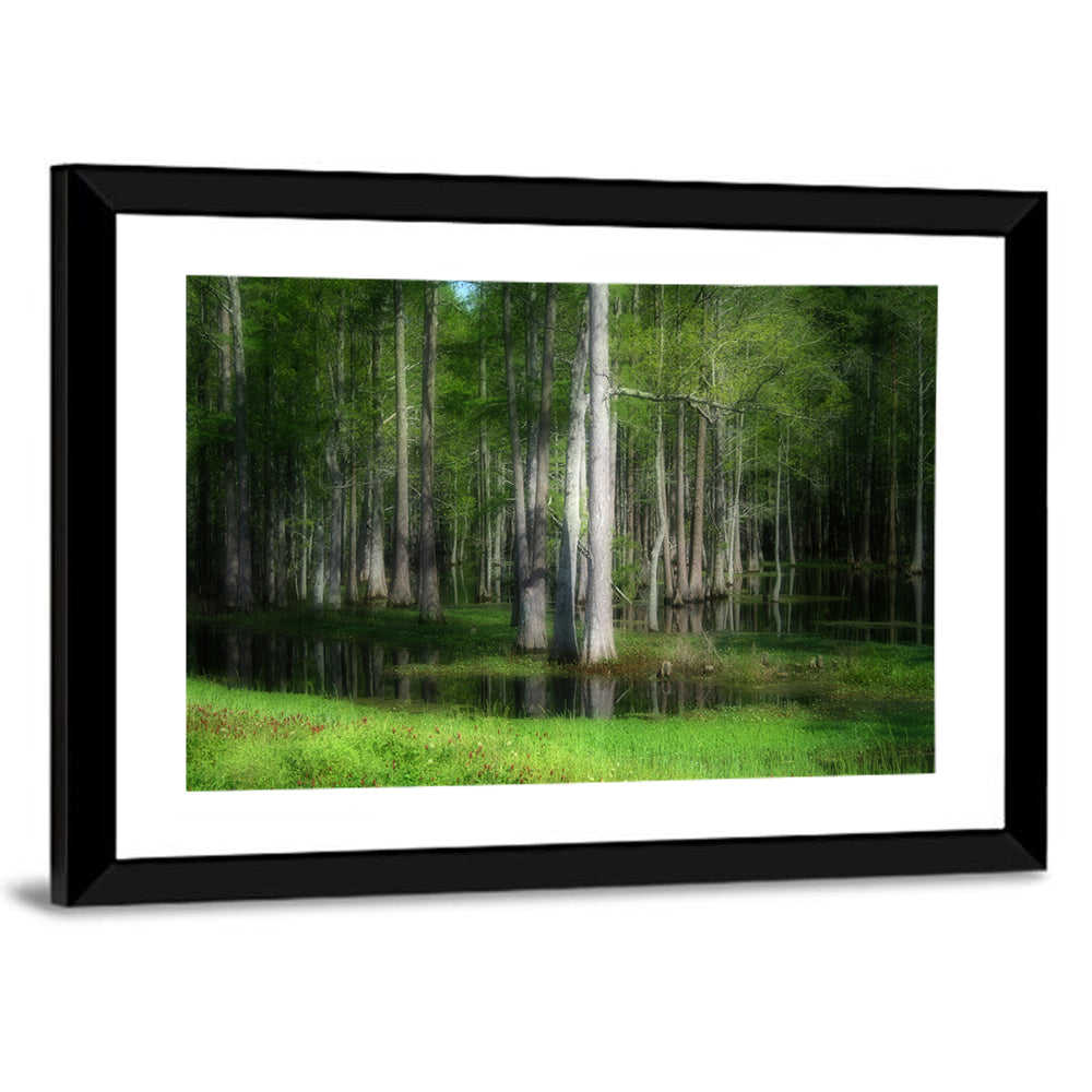 Lush Cypress Swamp Wall Art