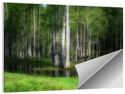 Lush Cypress Swamp Wall Art
