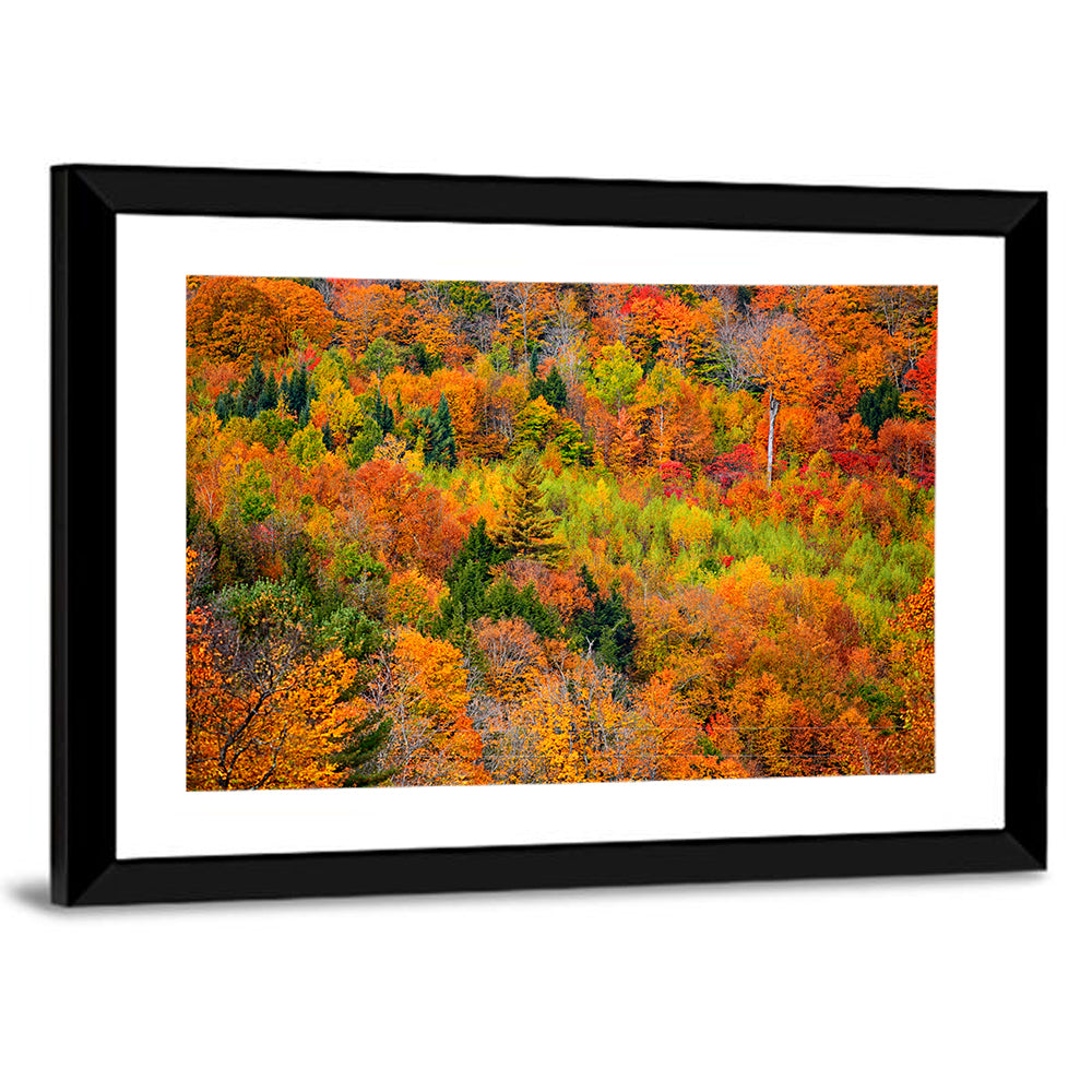 Vermont Autumn Mountain Forest Wall Art