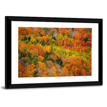 Vermont Autumn Mountain Forest Wall Art