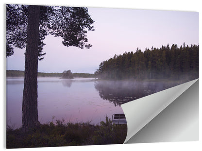 Misty Lake with Bench Wall Art