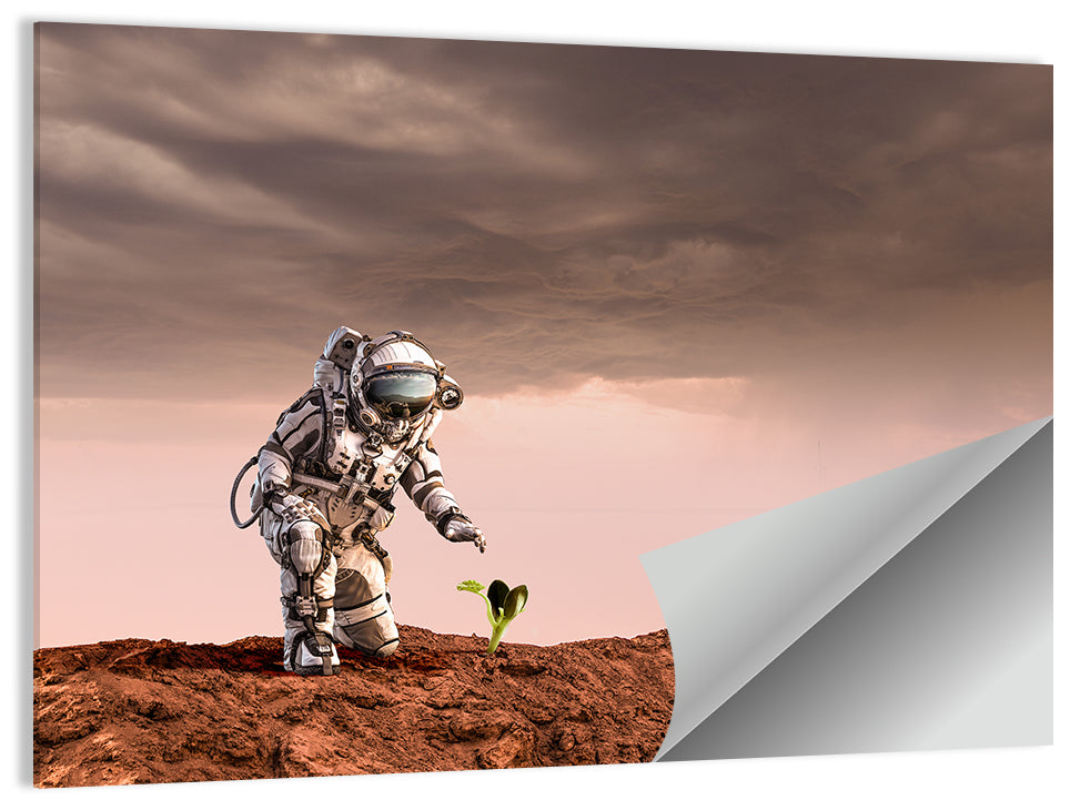 Martian Seedling Concept Wall Art