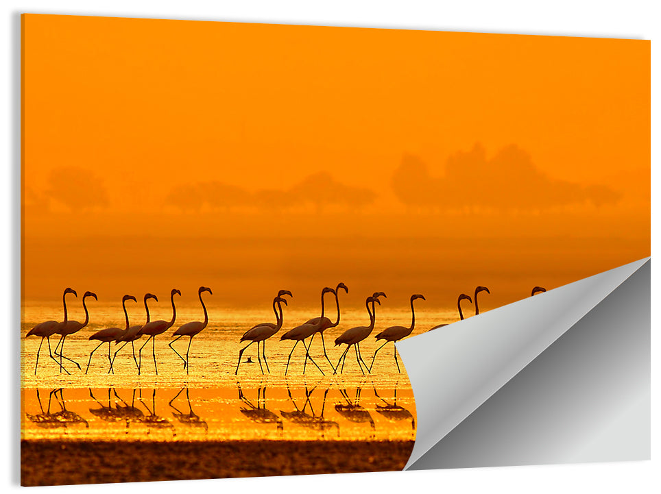 Flamingo Line at Golden Hour Wall Art