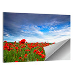 Red Poppy Field Wall Art