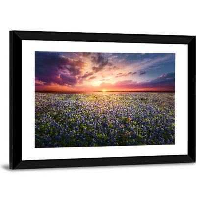 Texas Bluebonnet Sunset Wall Art