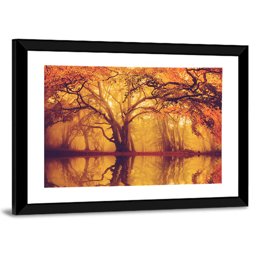 Golden Mist Forest Reflection Wall Art