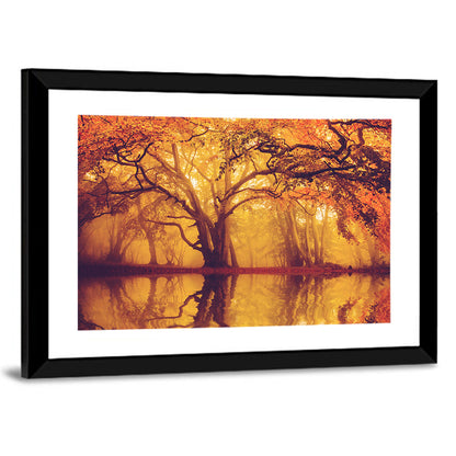Golden Mist Forest Reflection Wall Art