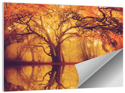 Golden Mist Forest Reflection Wall Art