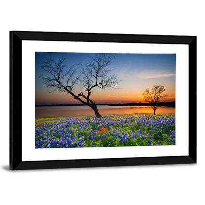 Texas Bluebonnet Sunset Wall Art