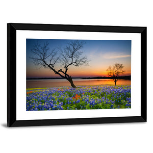 Spring Sunset Texas Wall Art