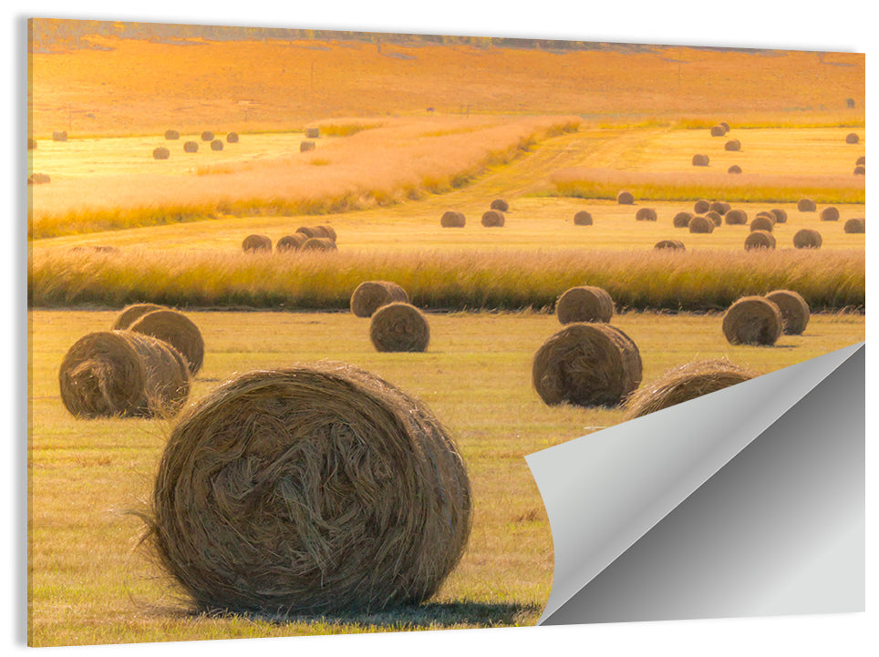 Hay Bales at Golden Hour Wall Art