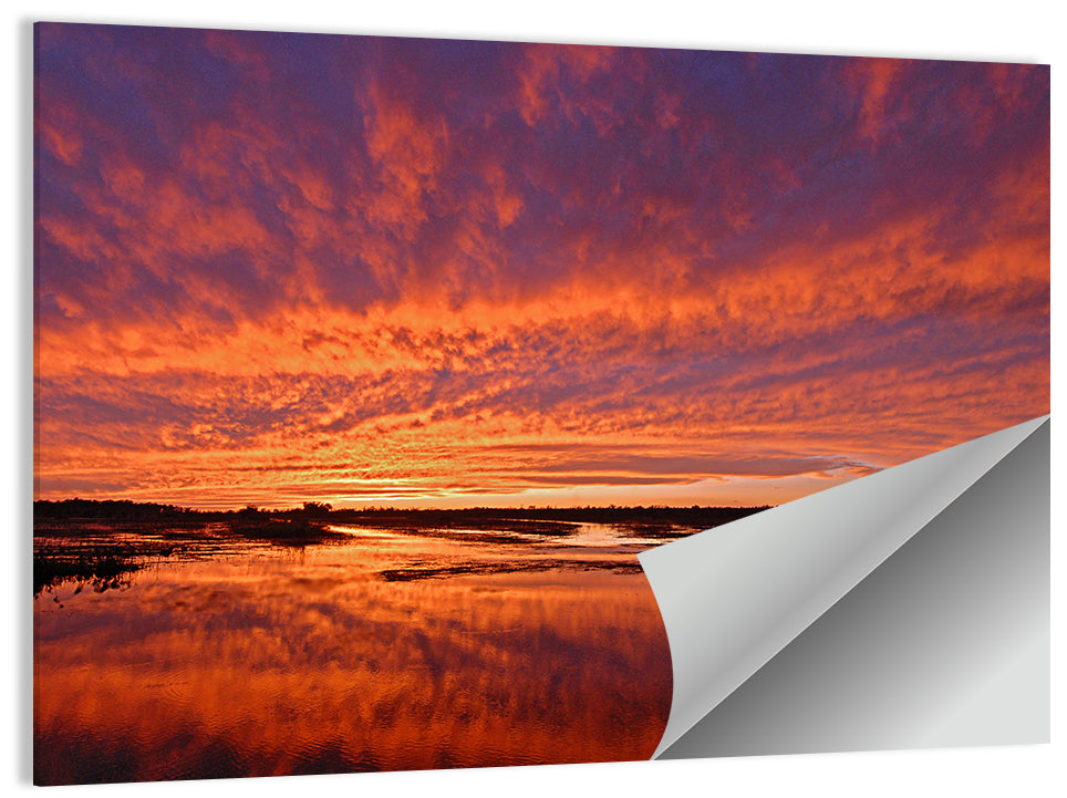 Louisiana Wetland Sunset Wall Art